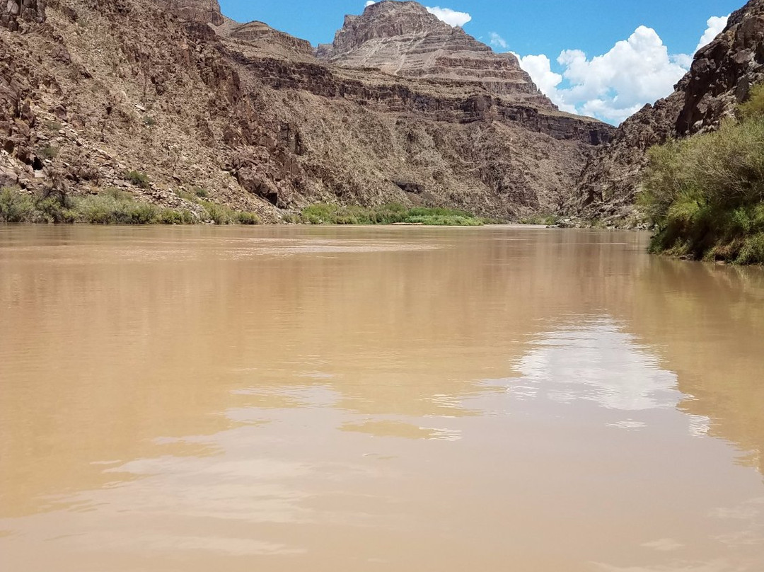 The Inner Canyon Tour from Williams, AZ-威廉姆斯必去景点