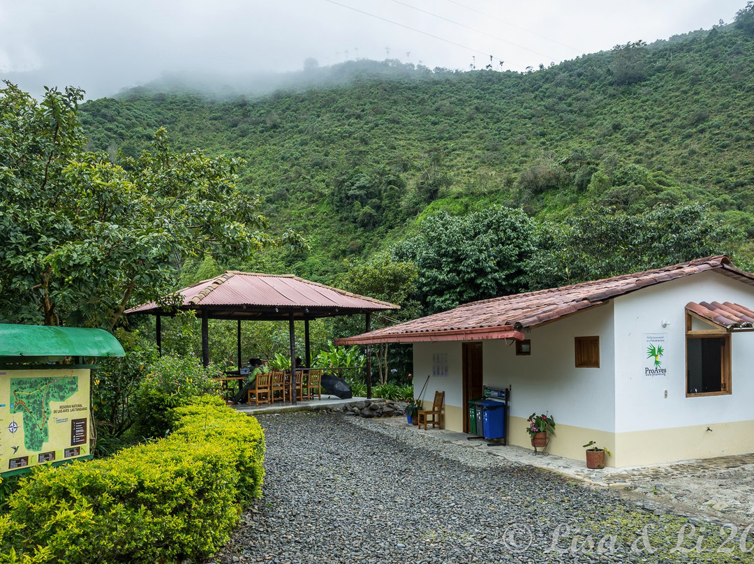 Las Tangaras Bird Reserve-麦德林必去景点