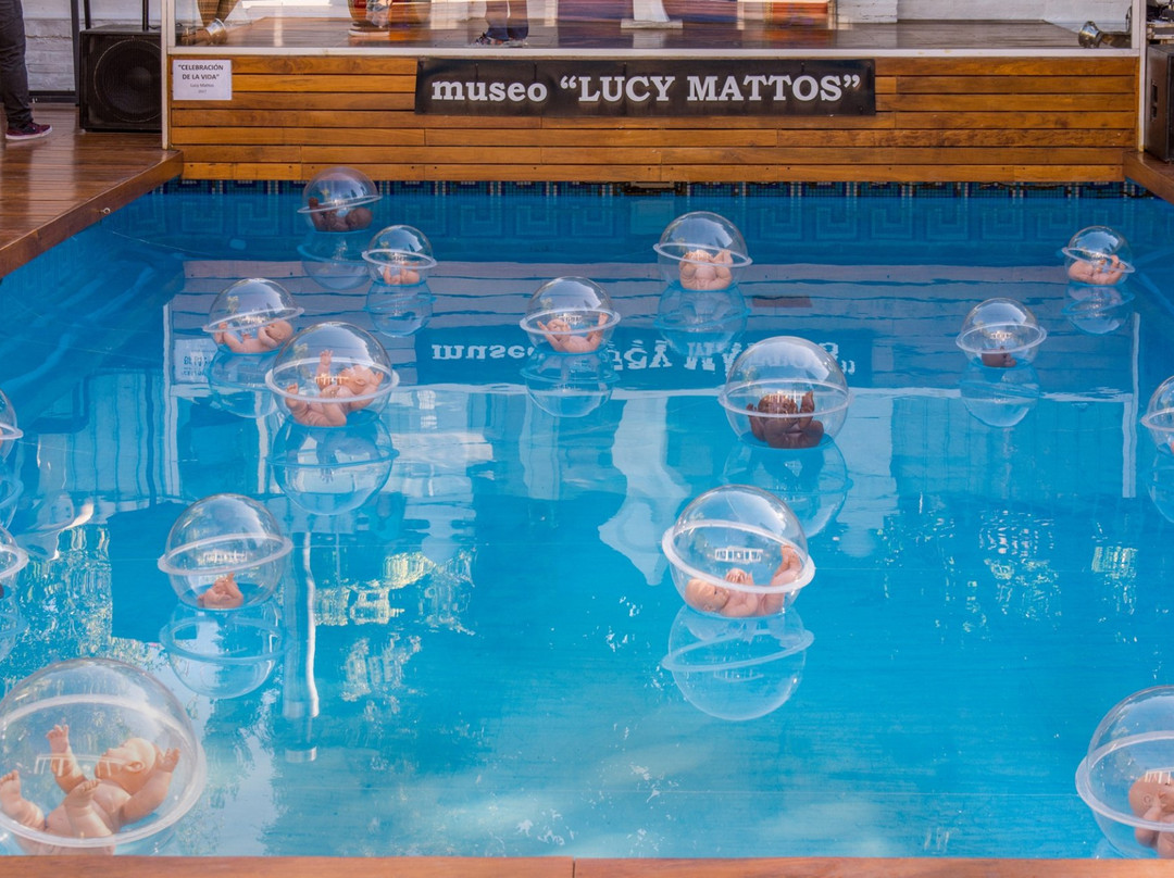 Museo de Arte Contemporaneo Lucy Mattos景点图片