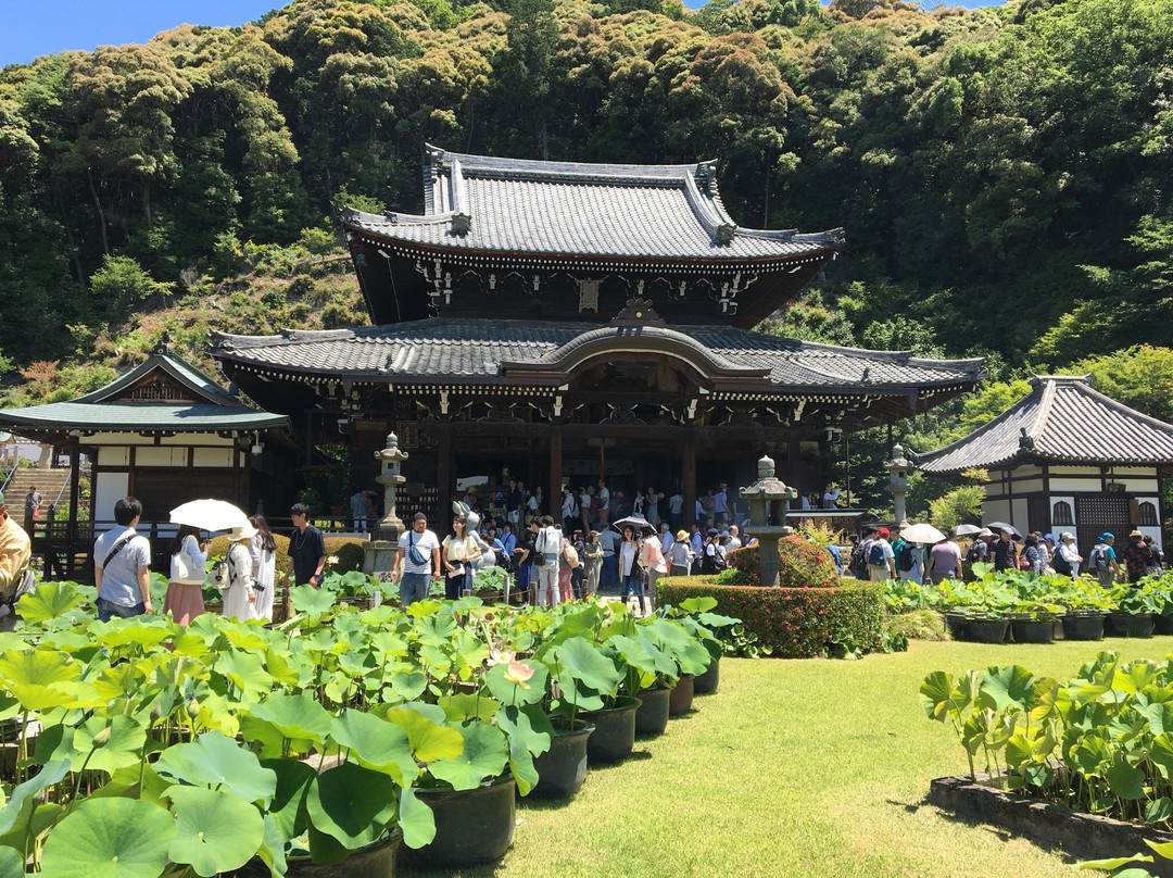 三室户寺-宇治市必去景点