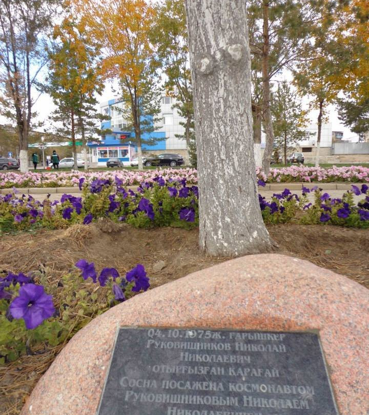 Alley of Pines Planted by Cosmonauts-Zhezkazgan必去景点