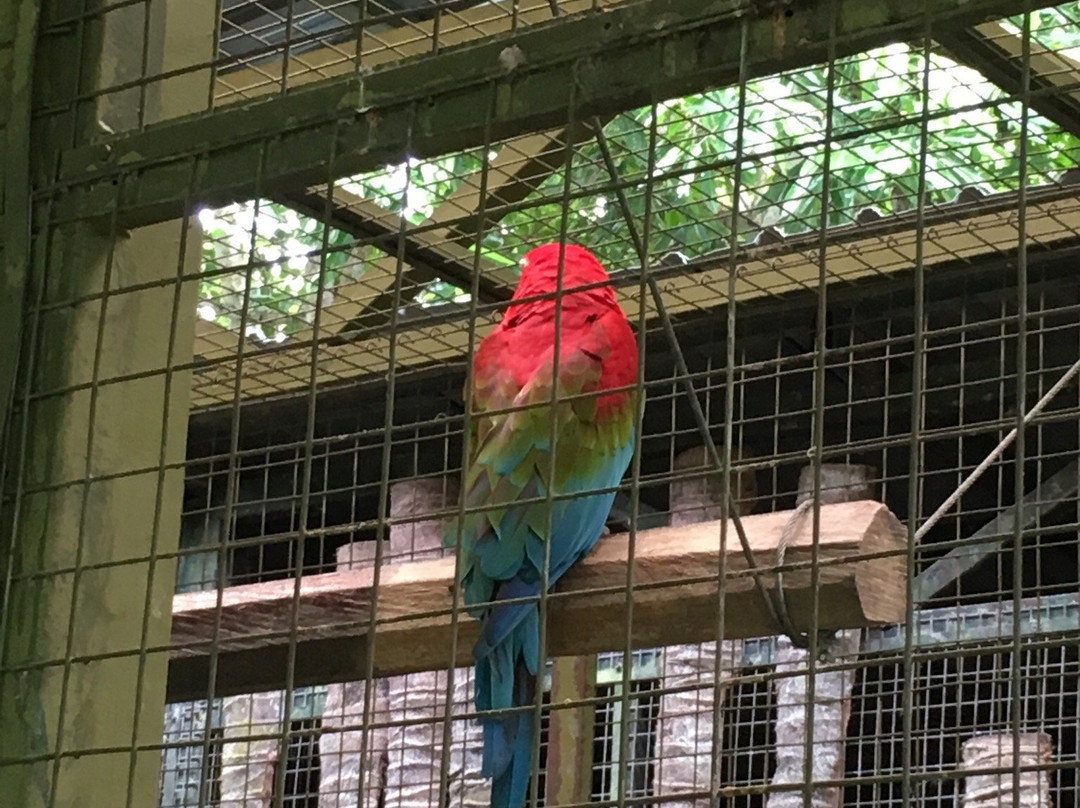 Tagal Tinopikon Park-兵南邦必去景点