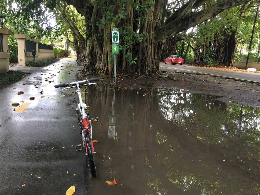 Old Cutler Trail-科勒尔盖布尔斯必去景点