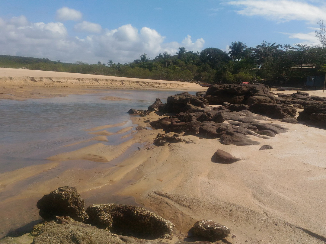 Coqueiros Beach景点图片
