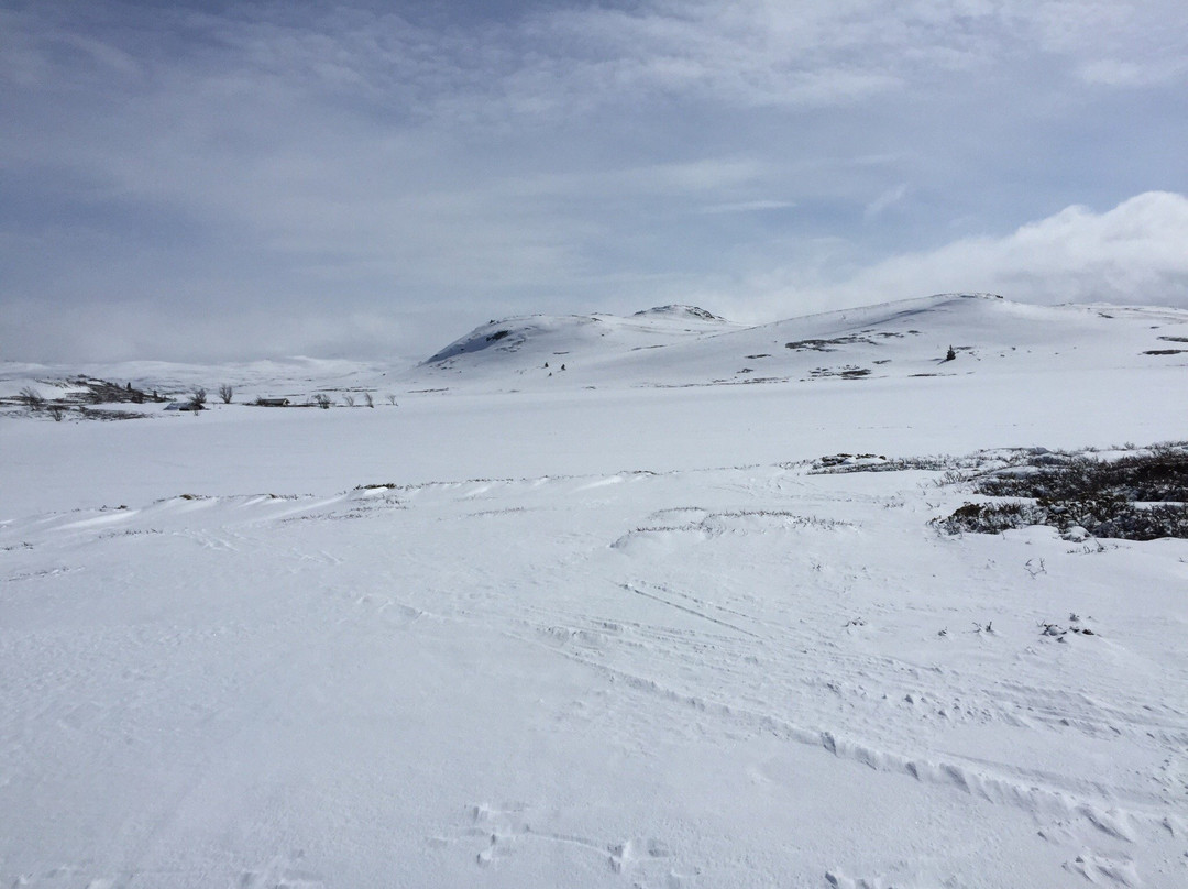 Åkrefjell And Trommenatten Mountain Hike景点图片