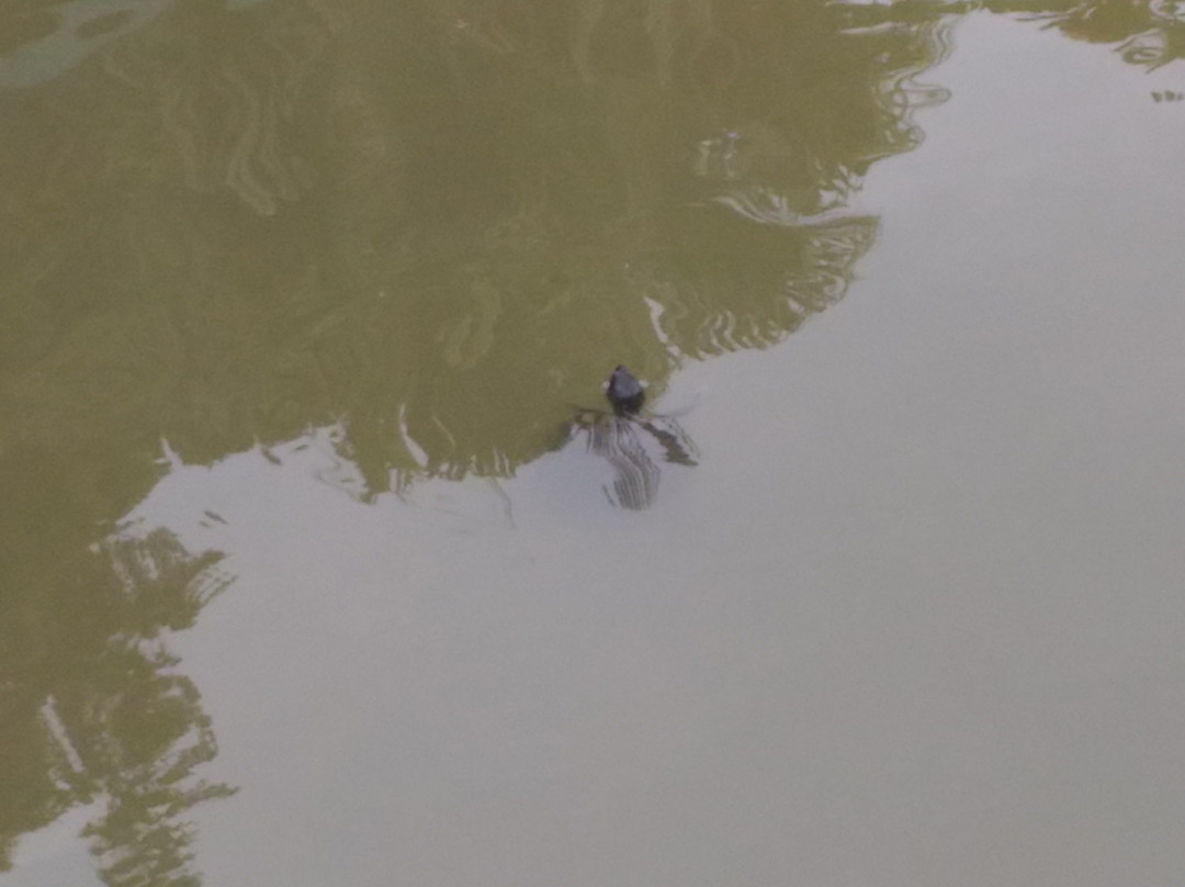 Taman Rakyat Klang-巴生必去景点