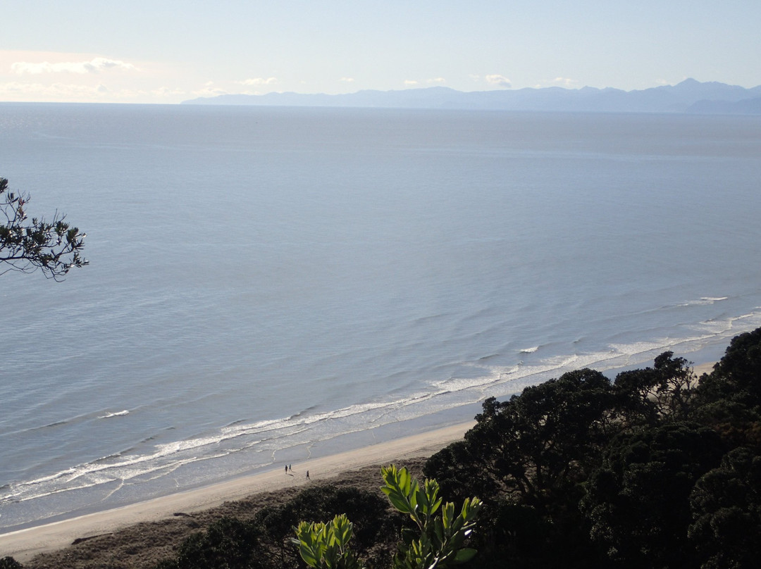 Onekawa Te Mawhai Regional Park景点图片