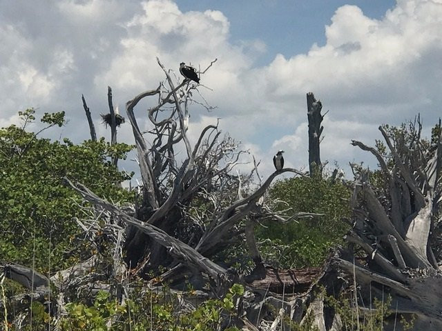 Naples Beach Adventures景点图片