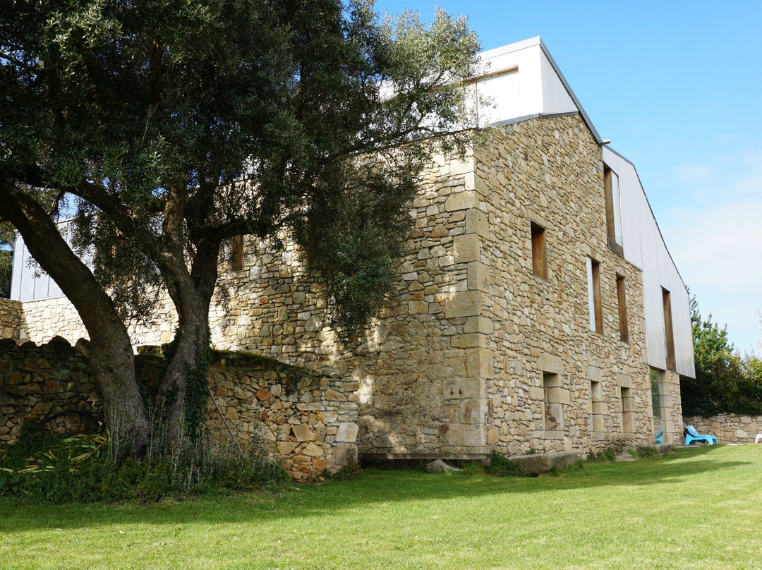 The Camp Doninos