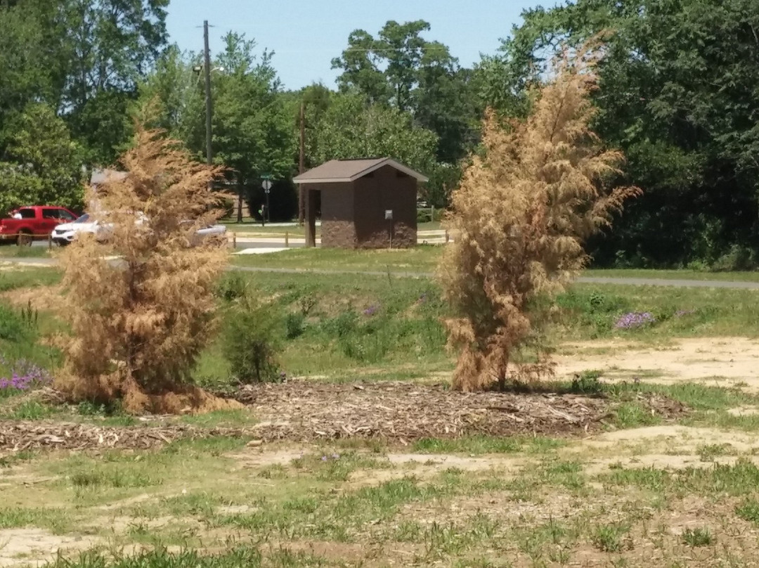 Walker's Pond-华纳罗宾斯必去景点