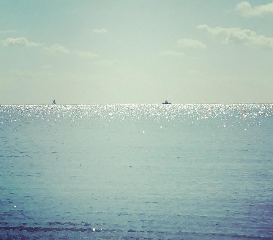 Gulfstream Park-德拉海滩必去景点