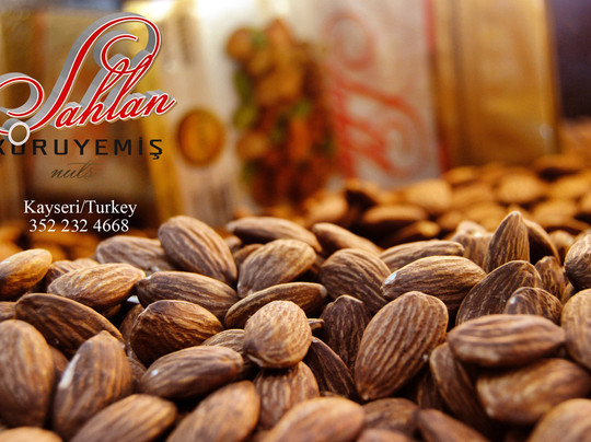 Şahlan Kuruyemiş-开塞利省必去景点