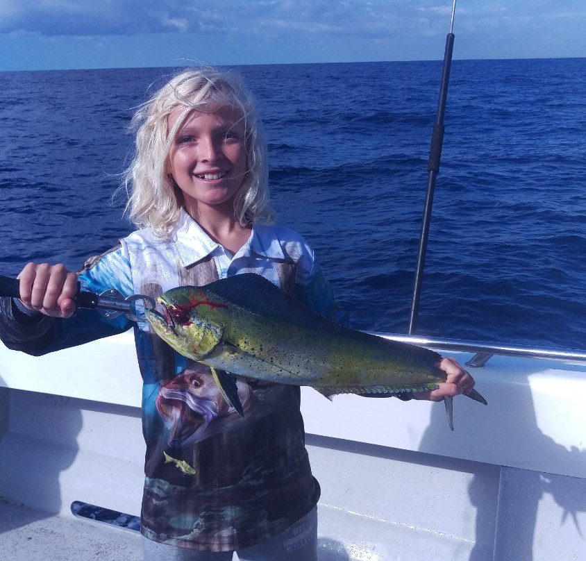 Sydney Sea Charters-巴尔曼必去景点