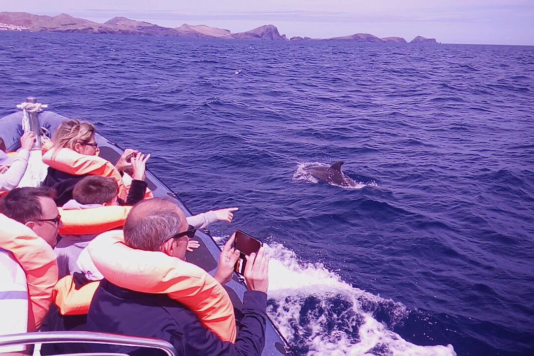 Lourenco Sardinha boat tour景点图片