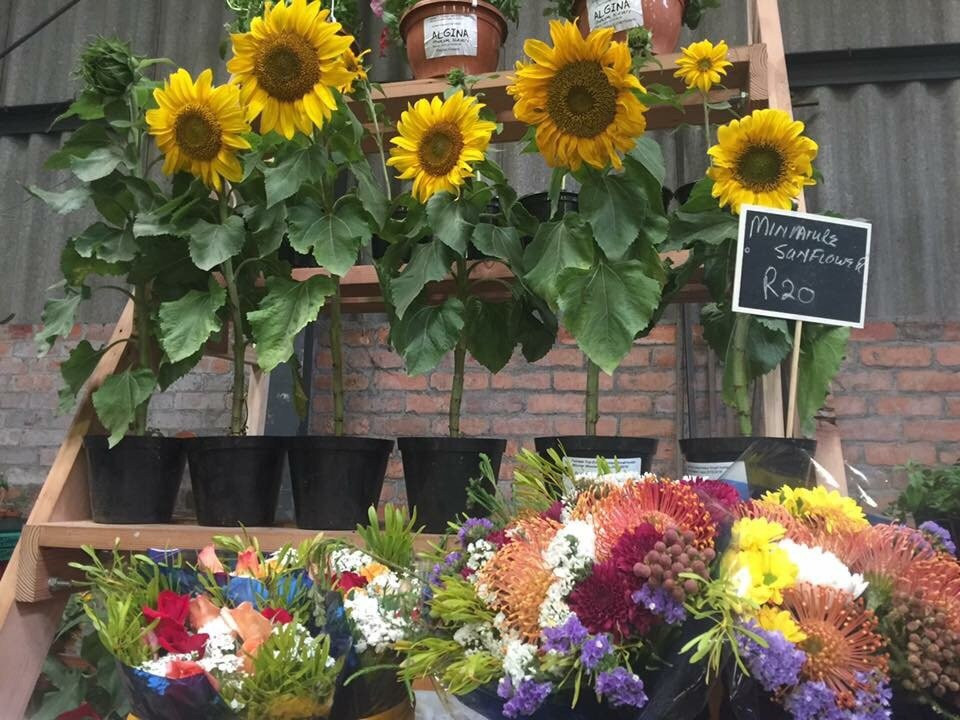 Paardevlei Farmers Market-西索美塞必去景点