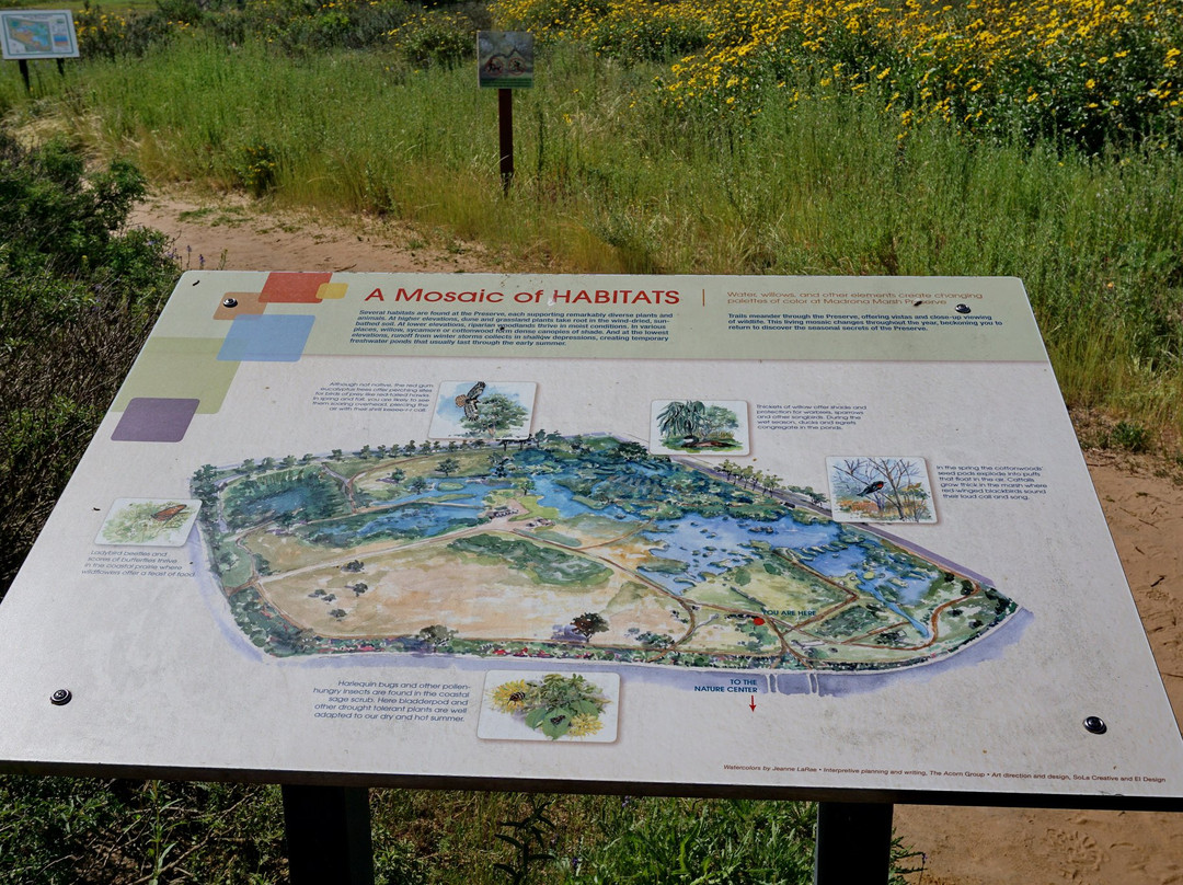 Madrona Marsh-托伦斯必去景点