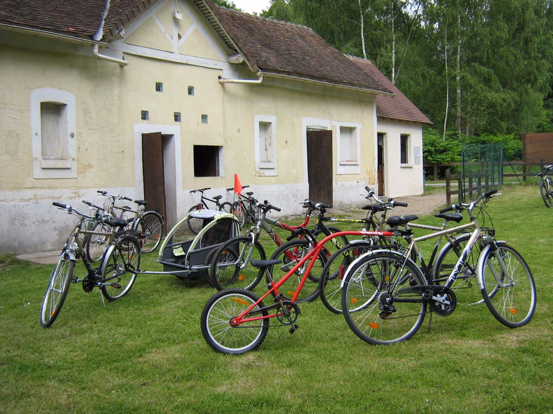 Loca Cycles景点图片