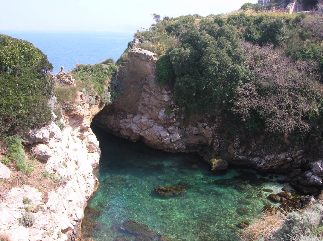 Paestum driver guide day tour-卡帕乔-帕埃斯图姆必去景点