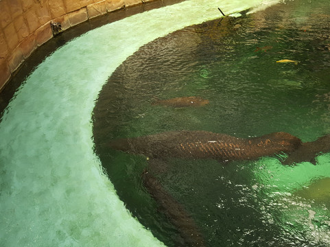 Paradise Water Park-曼谷必去景点