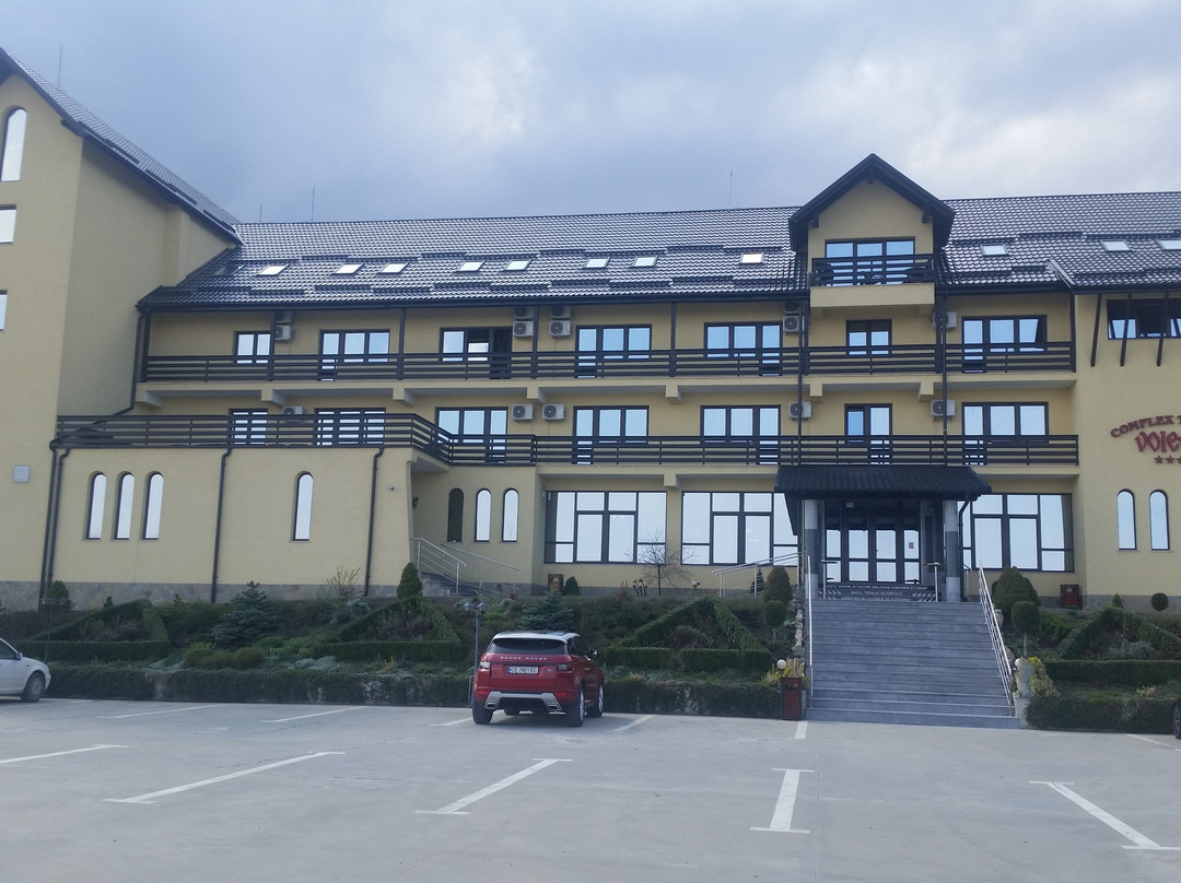 Sucevita旅游攻略图片