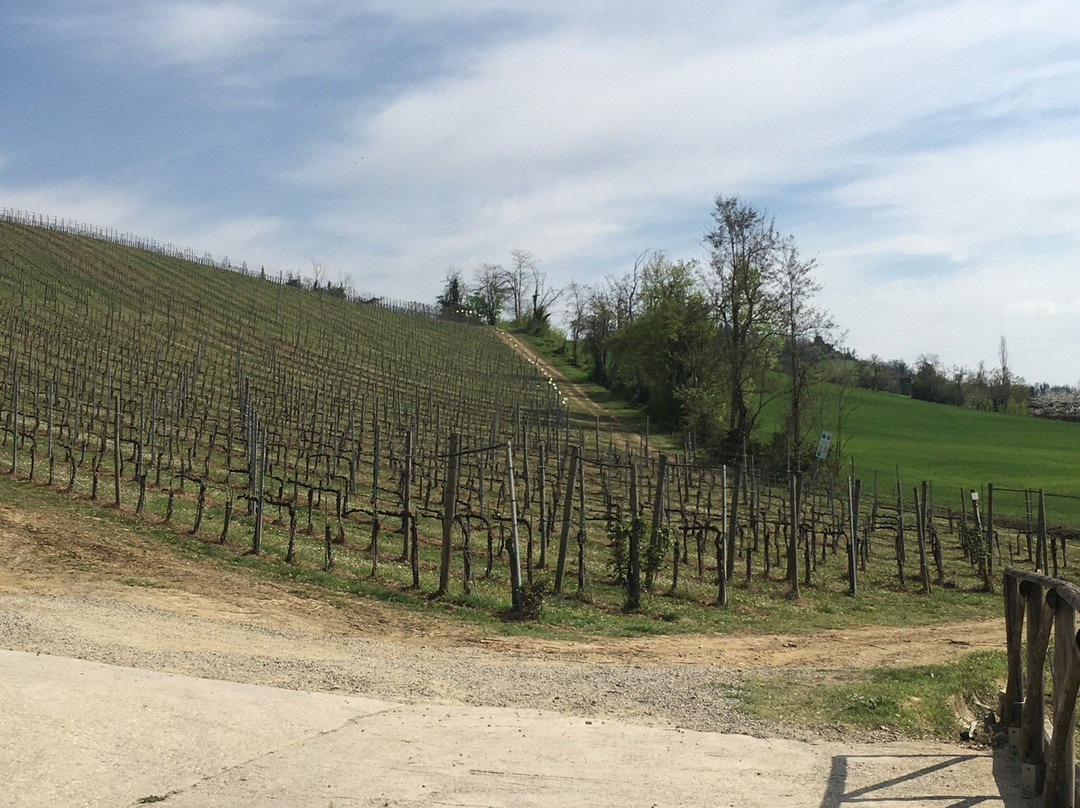 Azienda Agricola Botti di Bovina Fabio景点图片