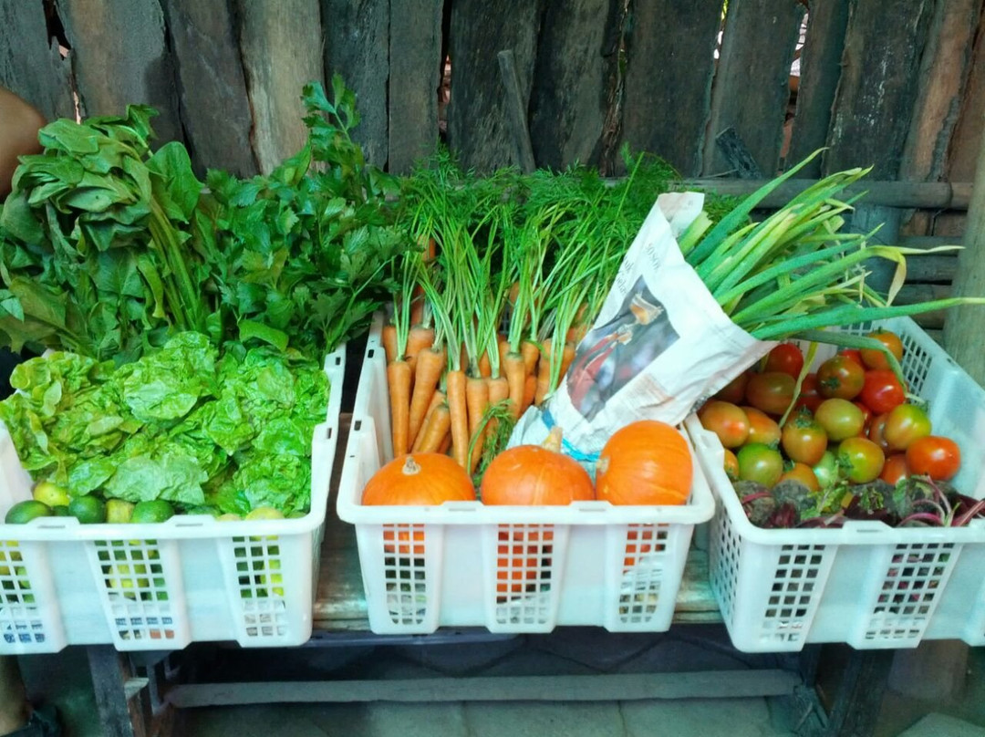 Pasar Organik Milas-日惹必去景点