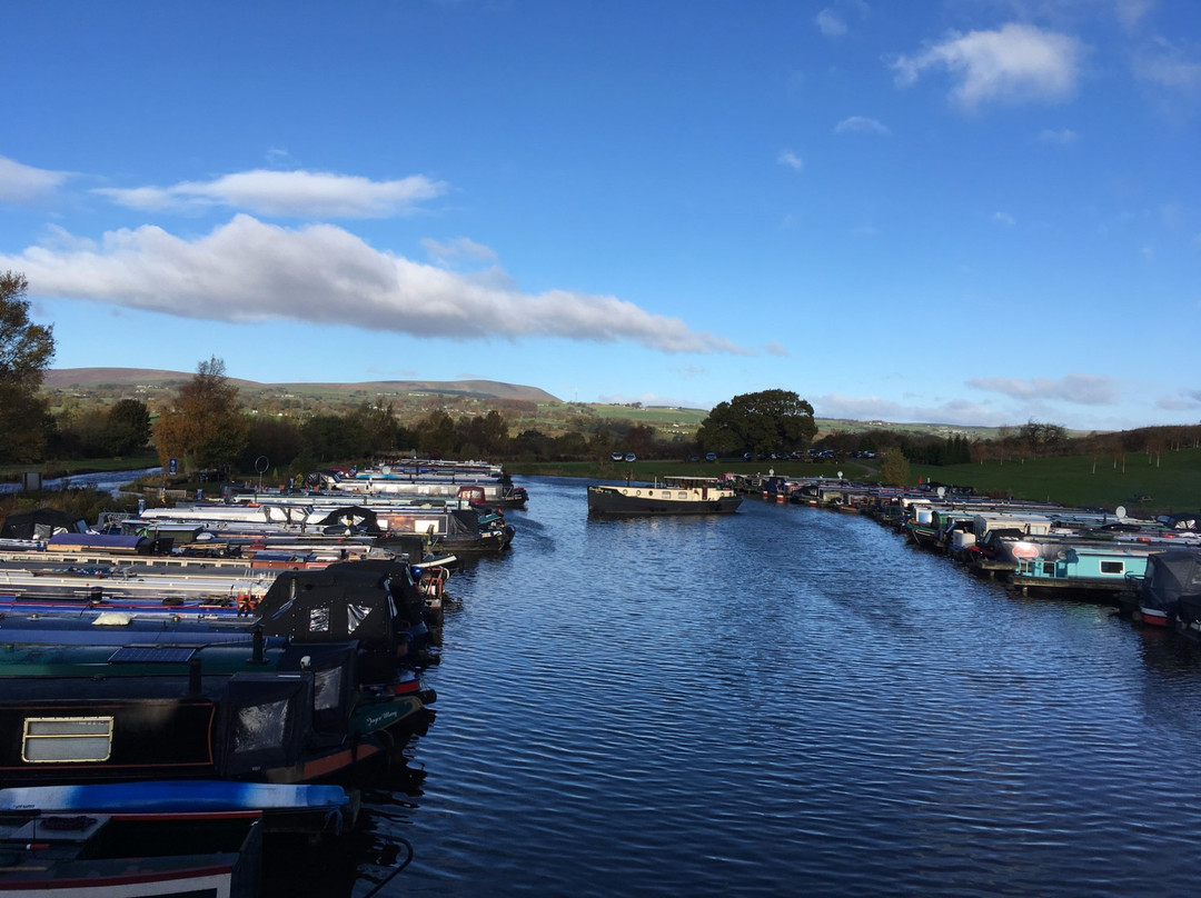 Reedley Marina Bistro Bar景点图片