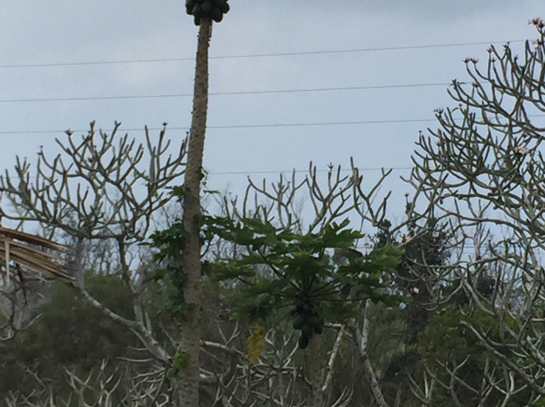 Manuka State Wayside Park-纳勒胡必去景点
