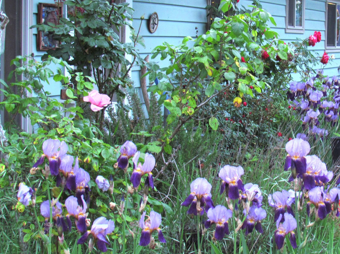 Daniels Family Pottery and Bnb-尤金必去景点