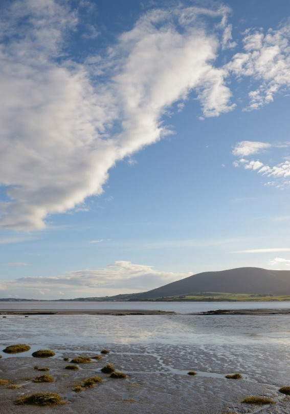 Caerlaverock National Nature Reserve景点图片