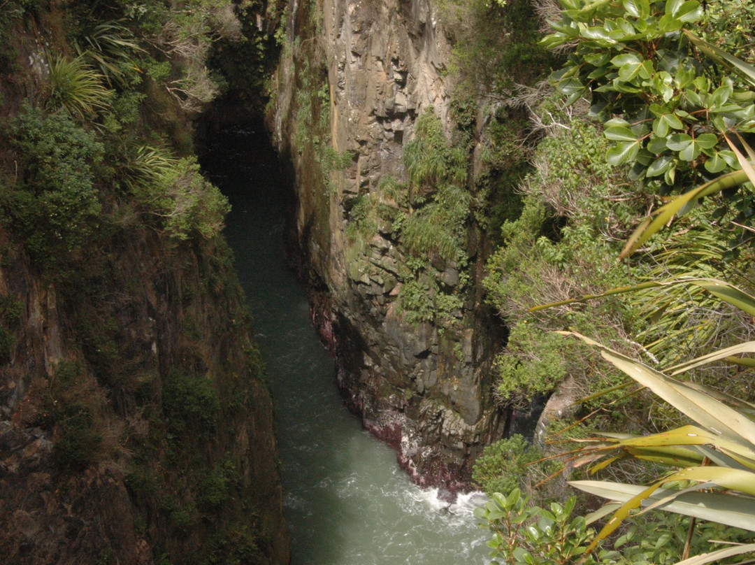 Jacks Blowhole Track景点图片