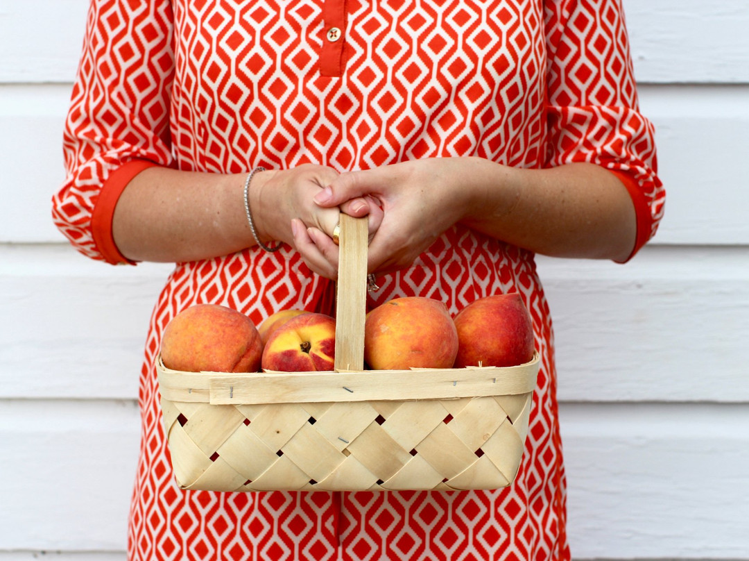 Dickey Farms-Musella必去景点