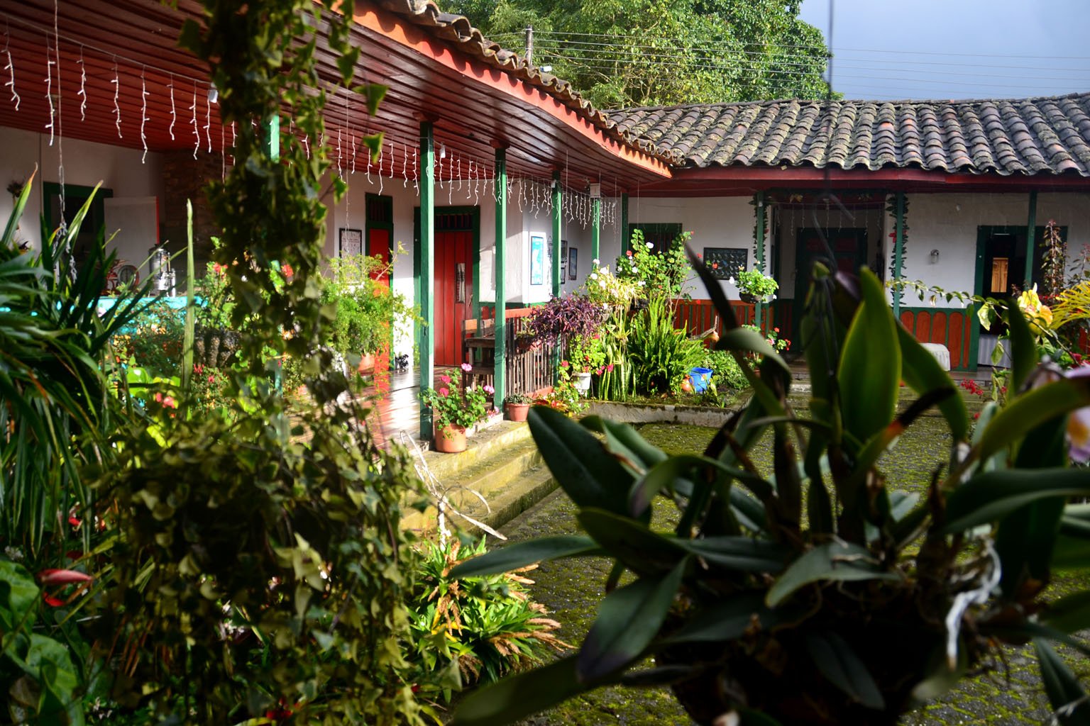 Posada el Mirador de Salento-家庭/游戏区