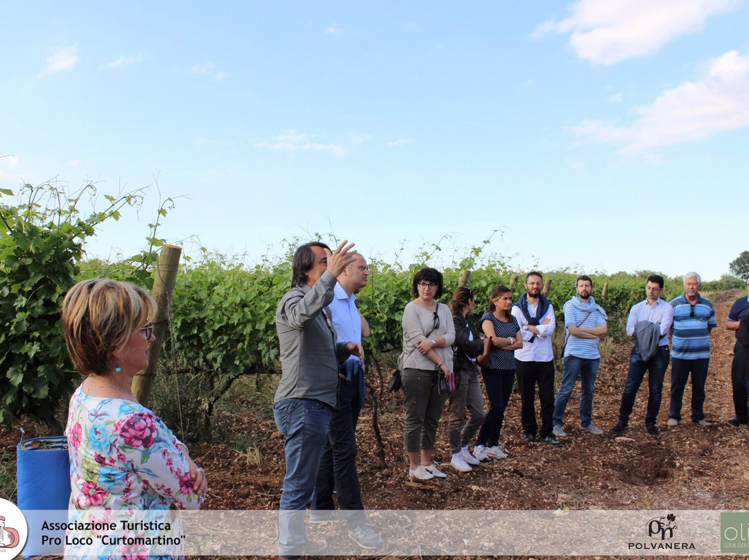 Associazione Turistica Pro Loco Curtomartino