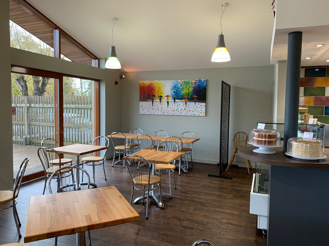 Wolvey餐馆和美食-The Willows Coffee Shop