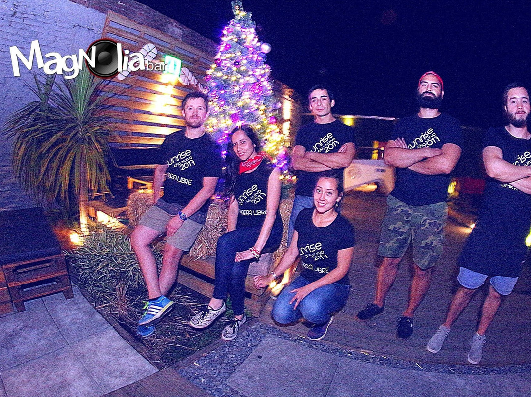 Magnolia Bar-奇廉必去景点