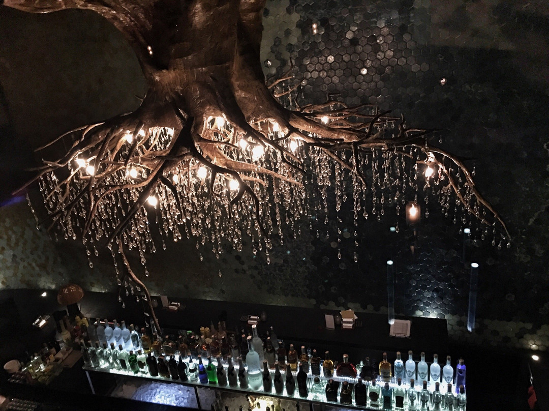 Jenja-水明漾必去景点