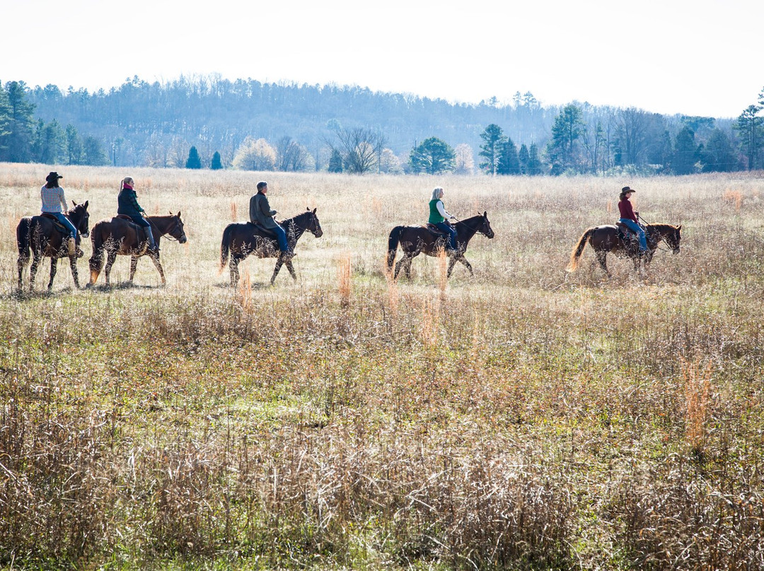 Horseback Riding at Barnsley Resort-Adairsville必去景点