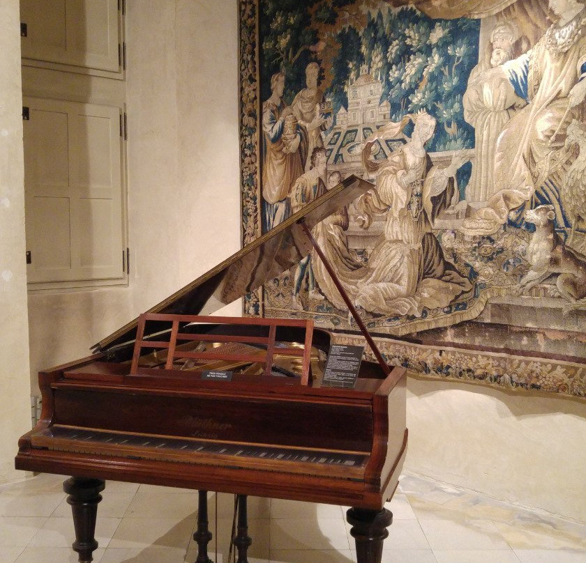Musée Labenche景点图片