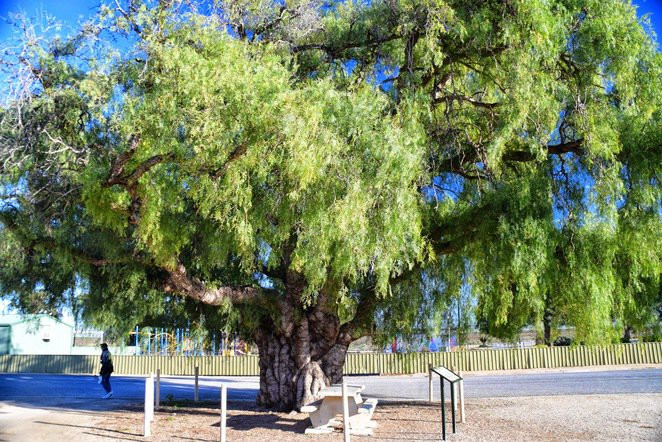 Port Wakefield Historical Walk景点图片