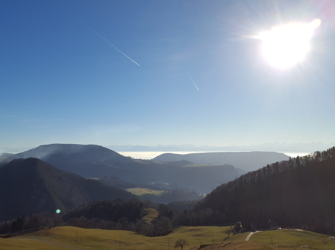 Mumliswil旅游攻略图片