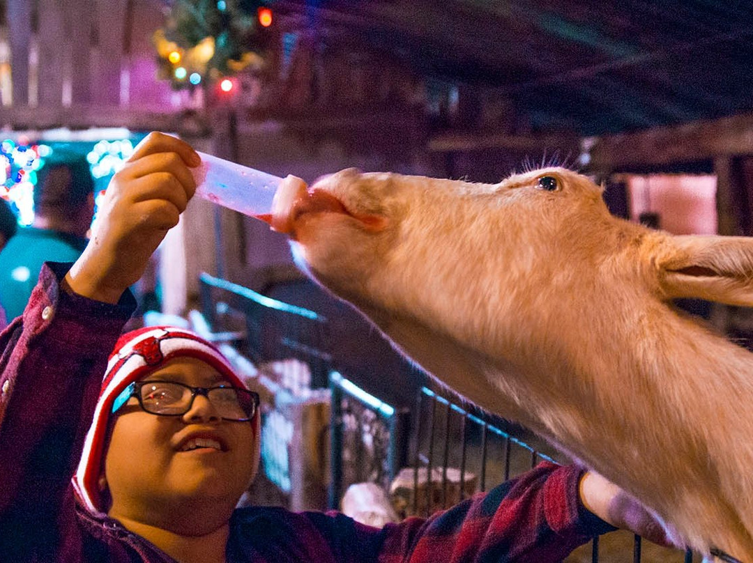 Hollywild Animal Park景点图片