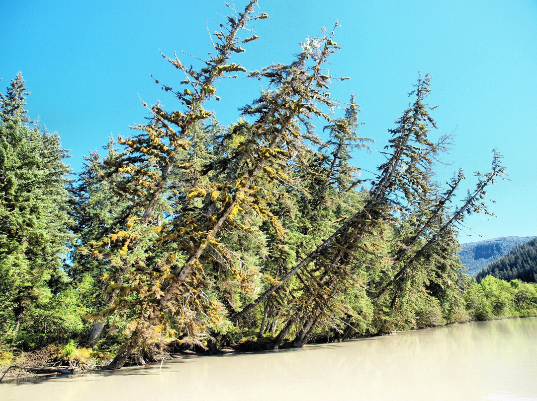 Stikine River-Wrangell必去景点