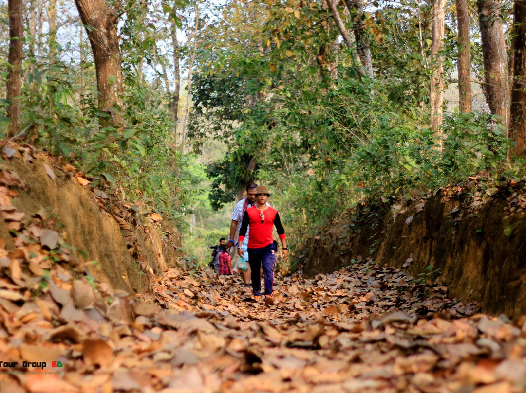 Rema-Kalenga Wildlife Sanctuary-锡尔赫特必去景点