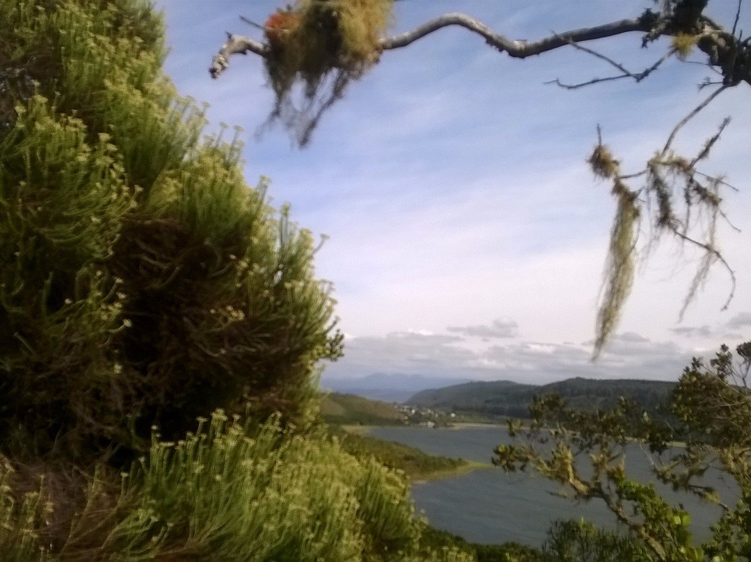 Sedgefield Tourist Information Centre-Sedgefield必去景点