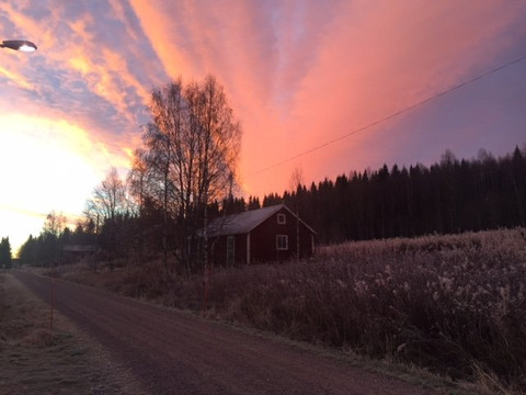 Nedre Lillviken旅游攻略图片