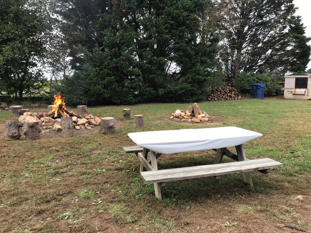 Coleman's Christmas Tree Farm-Middletown必去景点