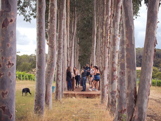 Kape Kombis-玛格丽特河必去景点