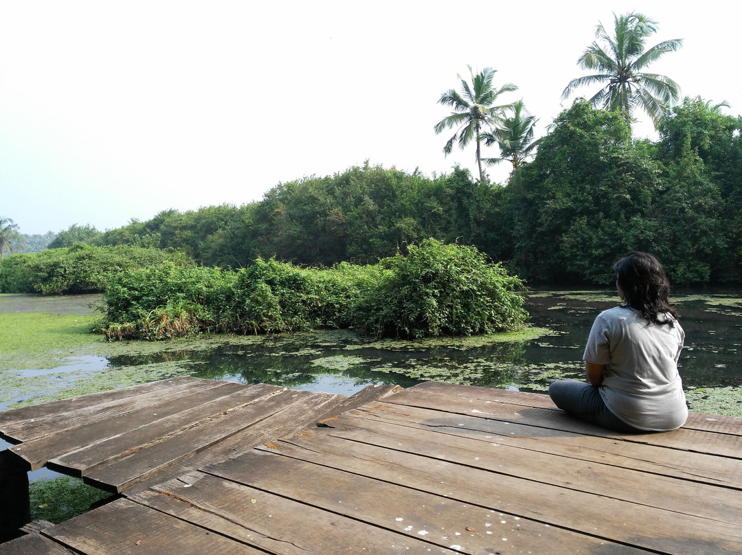 Sarovaram Biopark-科泽科德必去景点
