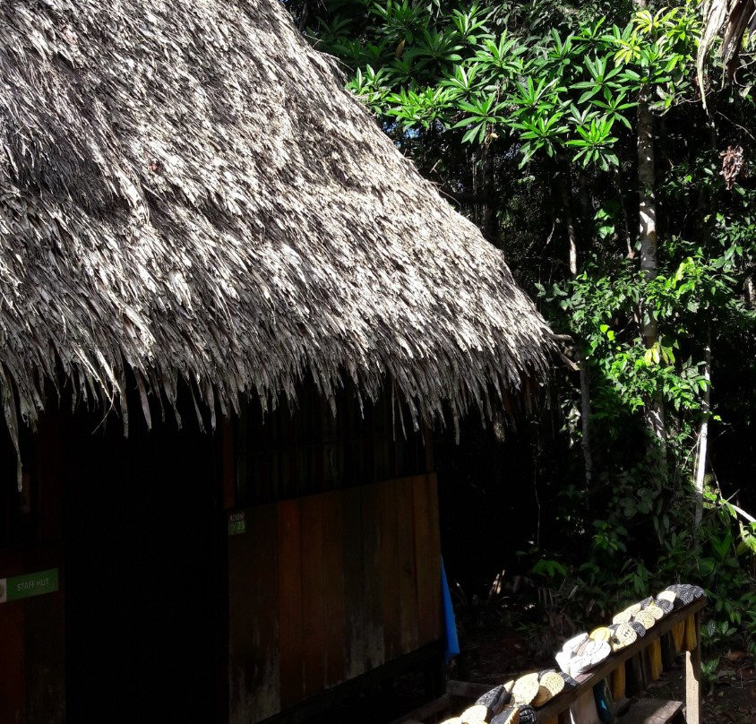 Nucanchi Pakcha-Misahualli必去景点